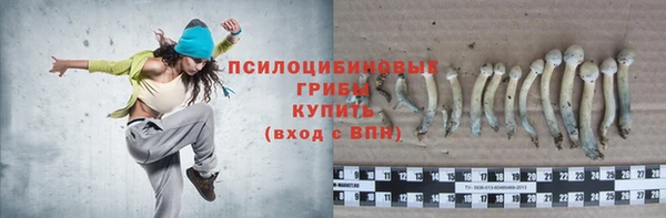 гидропоника Нея